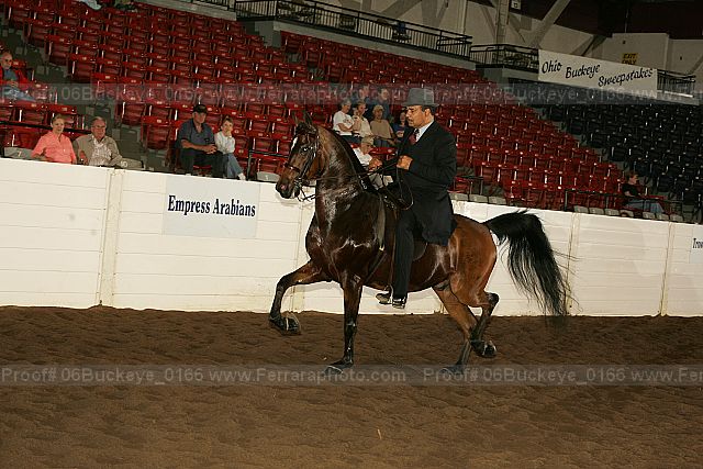 Proof Number 06buckeye_0166