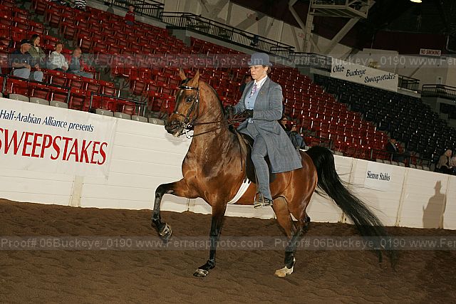 Proof Number 06buckeye_0190