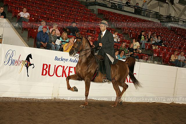 Proof Number 06buckeye_0372
