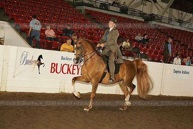 Proof Number 06buckeye_0390