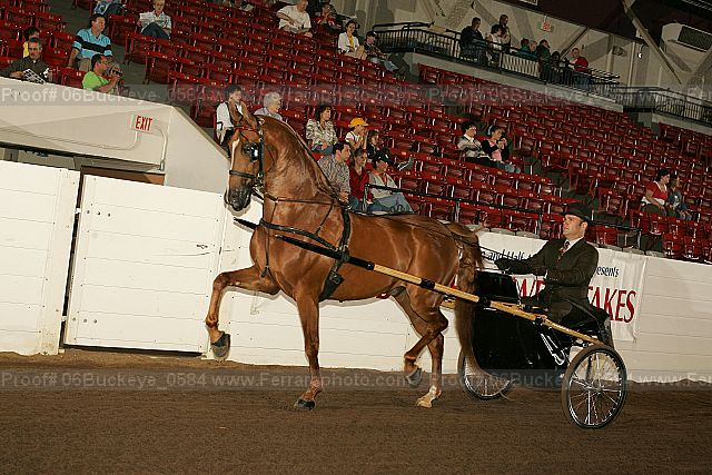 Proof Number 06buckeye_0584