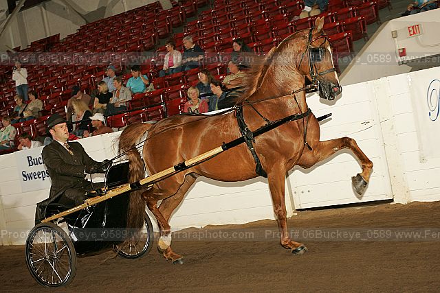 Proof Number 06buckeye_0589
