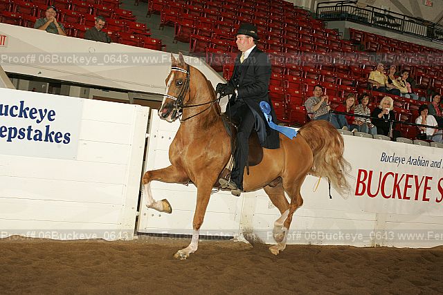 Proof Number 06buckeye_0643