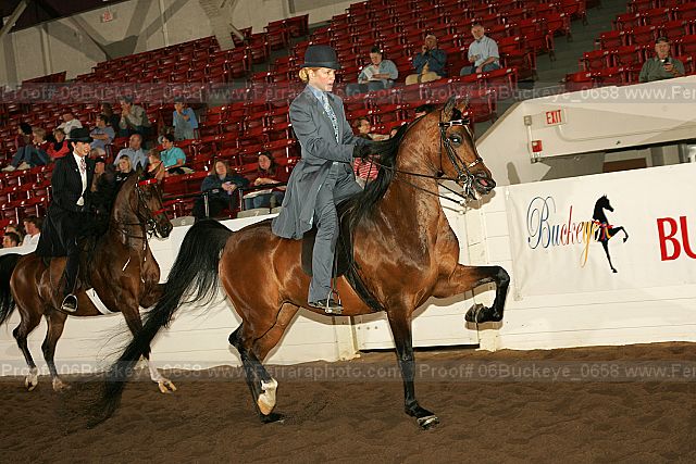Proof Number 06buckeye_0658