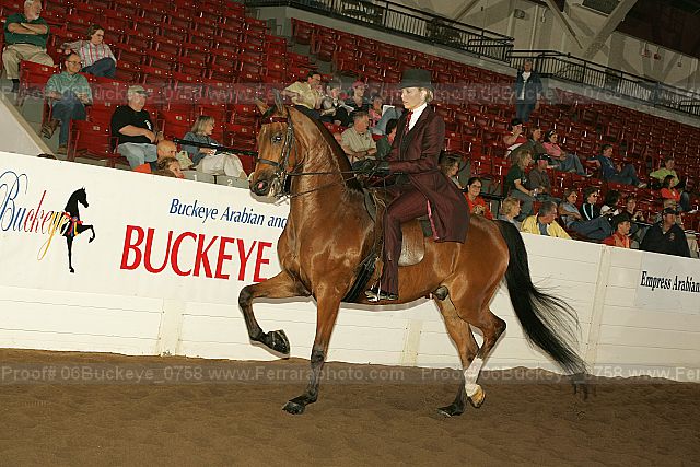 Proof Number 06buckeye_0758
