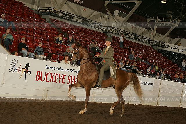 Proof Number 06buckeye_0804
