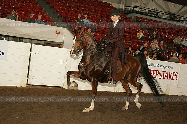 Proof Number 06buckeye_0812