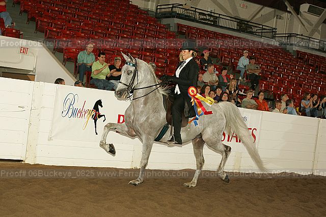 Proof Number 06buckeye_0825