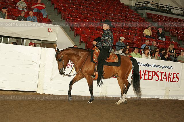 Proof Number 06buckeye_0833