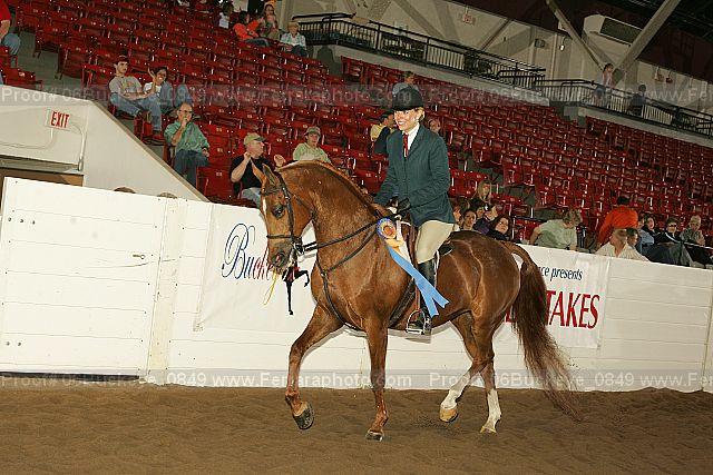 Proof Number 06buckeye_0849