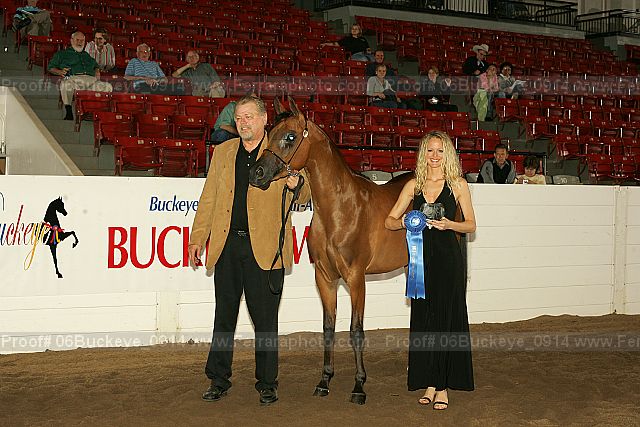 Proof Number 06buckeye_0914