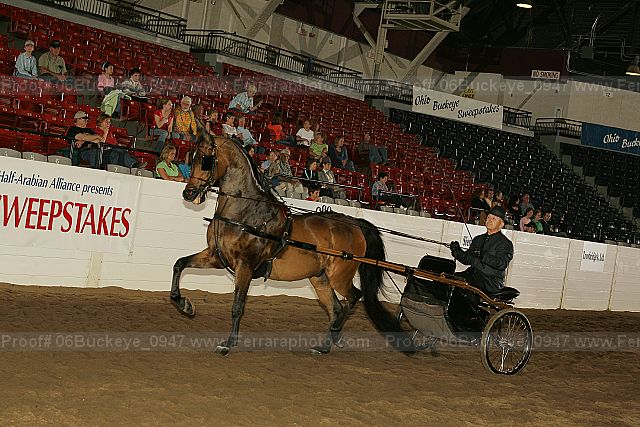 Proof Number 06buckeye_0947