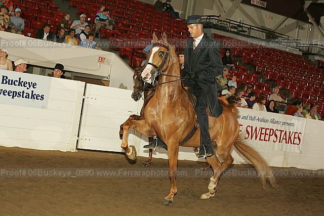 Proof Number 06buckeye_0990