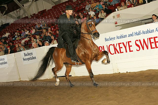 Proof Number 06buckeye_0993