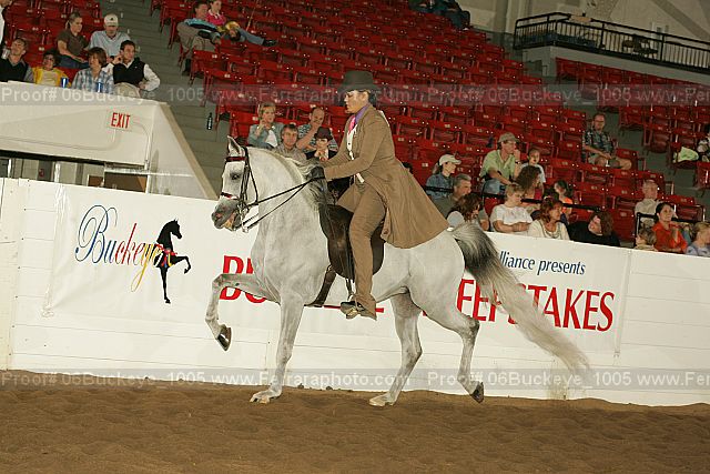 Proof Number 06buckeye_1005