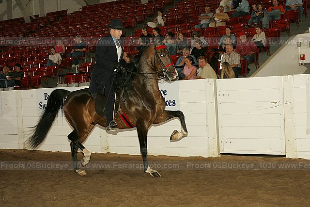 Proof Number 06buckeye_1036