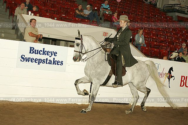 Proof Number 06buckeye_1044