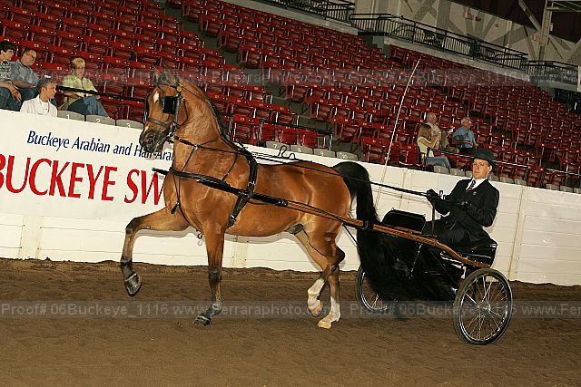 Proof Number 06buckeye_1116
