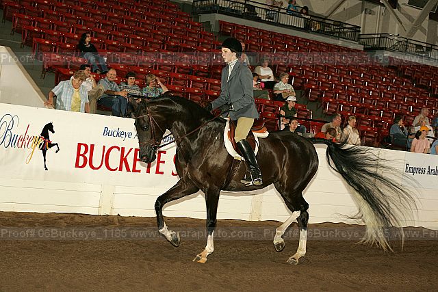 Proof Number 06buckeye_1185