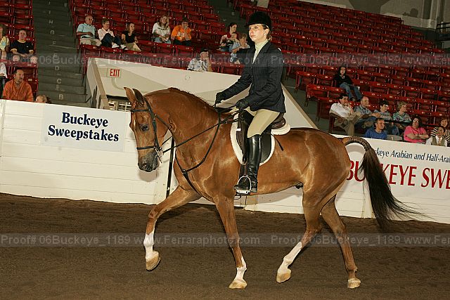 Proof Number 06buckeye_1189