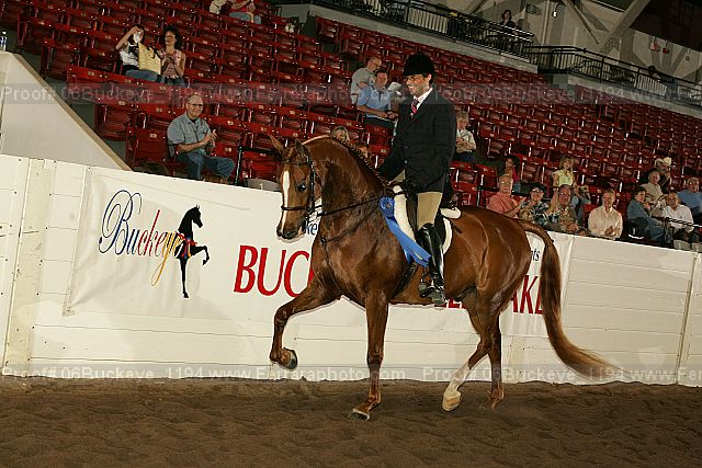 Proof Number 06buckeye_1194