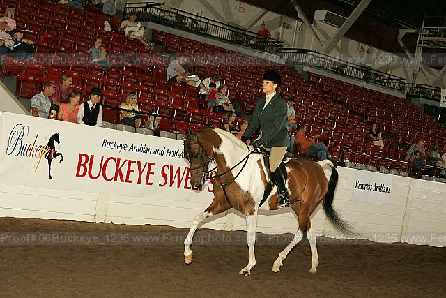 Proof Number 06buckeye_1236