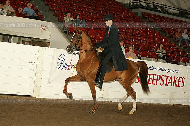 Proof Number 06buckeye_1279