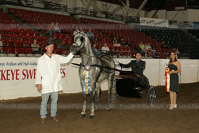 Proof Number 06buckeye_1292
