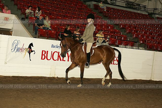 Proof Number 06buckeye_1316