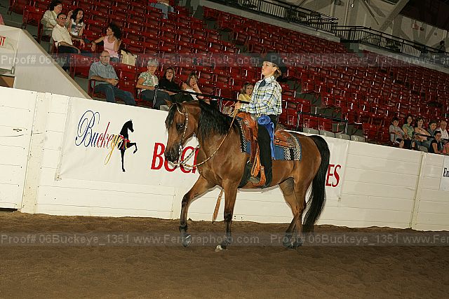 Proof Number 06buckeye_1351