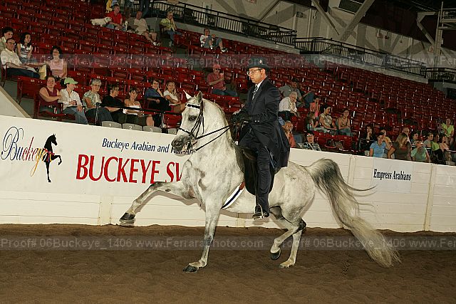 Proof Number 06buckeye_1406