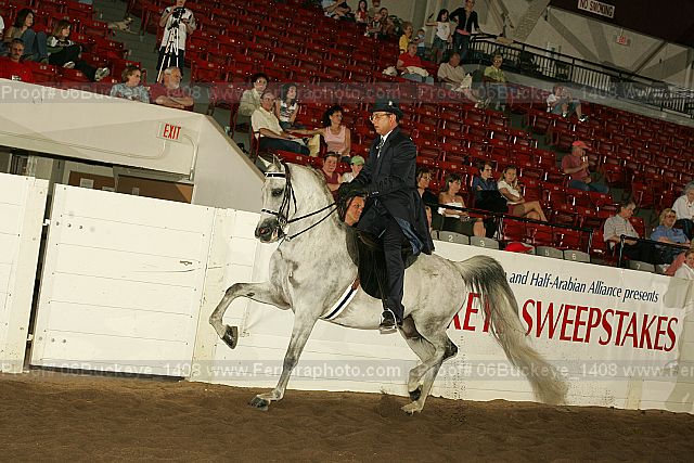 Proof Number 06buckeye_1408
