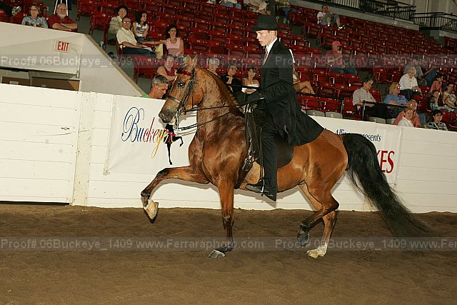 Proof Number 06buckeye_1409