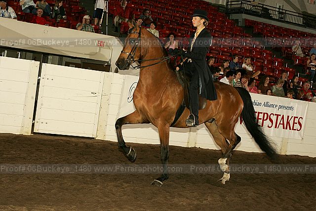 Proof Number 06buckeye_1480