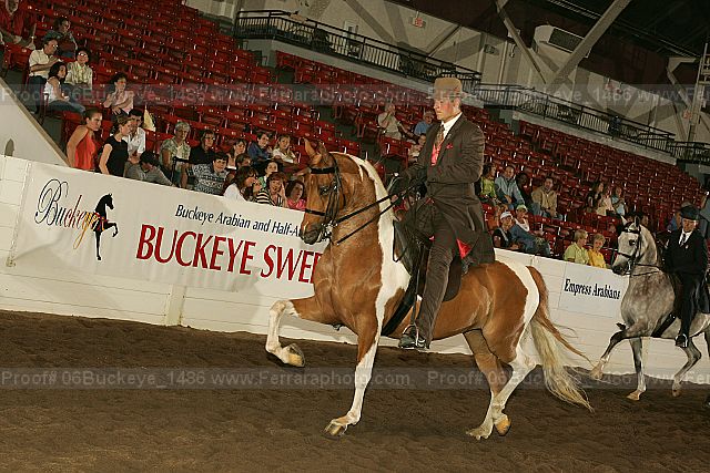 Proof Number 06buckeye_1486