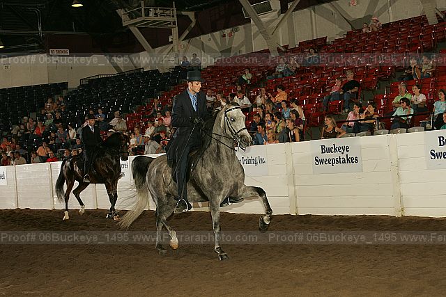 Proof Number 06buckeye_1495