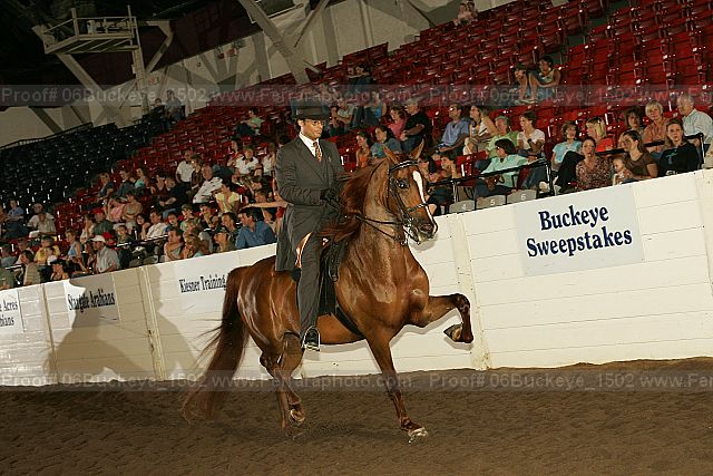 Proof Number 06buckeye_1502
