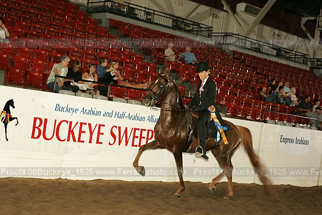 Proof Number 06buckeye_1525