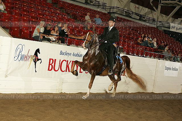 Proof Number 06buckeye_1526