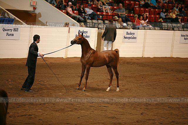 Proof Number 06buckeye_1570