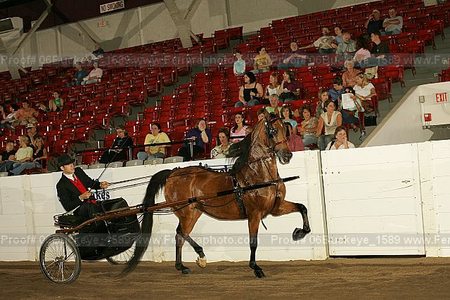 Proof Number 06buckeye_1589