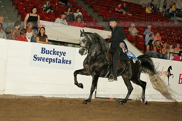 Proof Number 06buckeye_1606