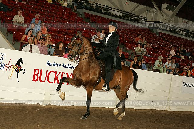 Proof Number 06buckeye_1625