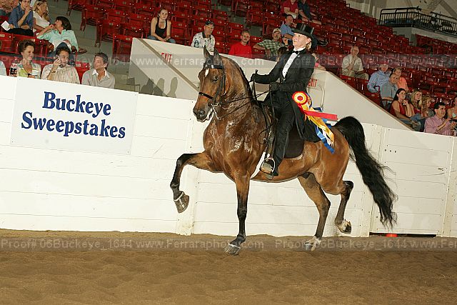 Proof Number 06buckeye_1644