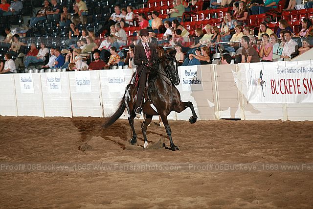 Proof Number 06buckeye_1669