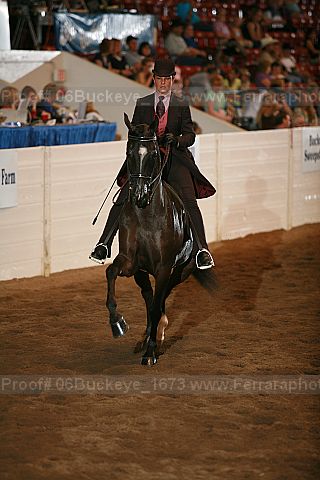 Proof Number 06buckeye_1673
