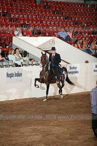 Proof Number 06buckeye_1678