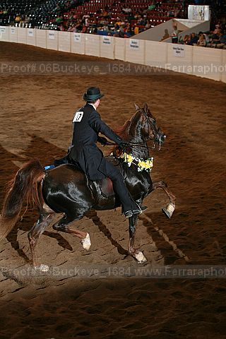 Proof Number 06buckeye_1684
