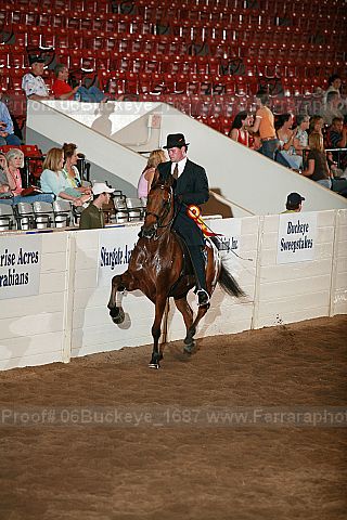 Proof Number 06buckeye_1687