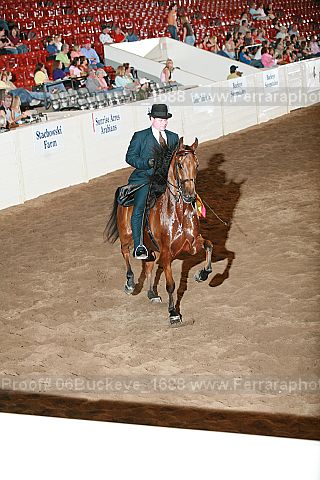 Proof Number 06buckeye_1688